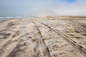 Car tire tracks in the sand of Skeleton Coast, Namibia