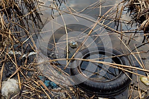 Car tires and plastic in dirty water