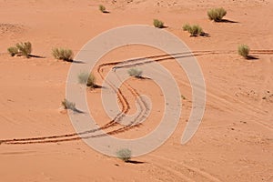 Car tracks in Wadi Rum protected area, UNESCO, Jordan photo