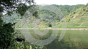 Car traffic on road through Moselle river valley and vineyards. Germany