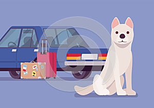 Car travel and road trip with a pet dog