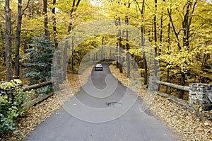 A car traveling on scenic Route 29 in New Jersey