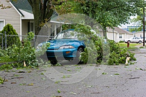 Car and Tree Limbs Storm Damage