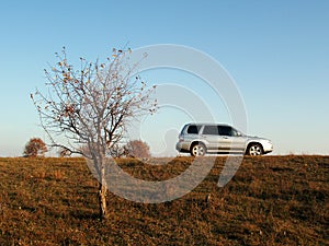 Car & Trees on Landline