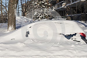 Car under snow