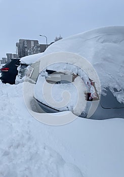 Car under the snow. Heavy snow.