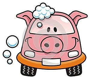 Car wash pig