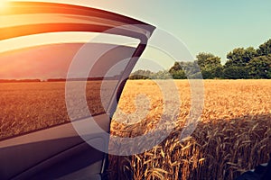 Car in wheat field with opened door