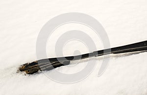 Car Windscreen Wiper Covered in Snow