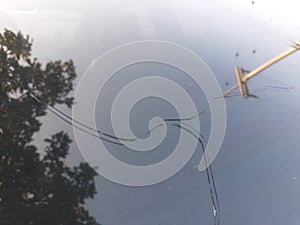 Car Windshield Cracked With Scene Refection