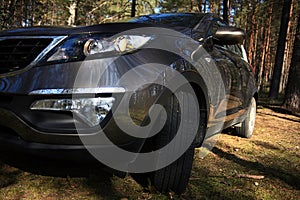 car in the woods photo