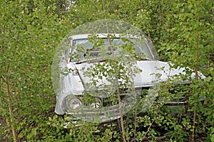 Car wreck in american forest, Alaska