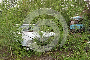 Car wreck in american forest, Alaska
