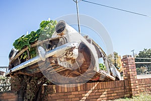 Car Wreck as Garden on Wall