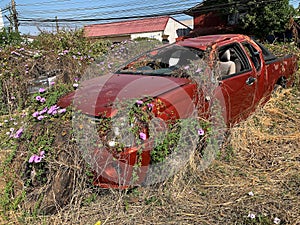 Car Wreck Environmental Disaster