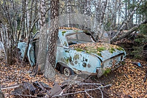 Car wreck in the forest