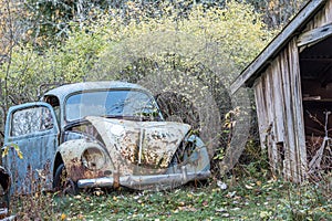 Car wreck in the forest