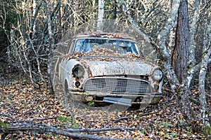 Car wreck in the forest