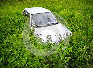 Car wreck in the middle of a field of weeds