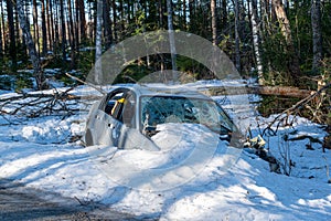 Car wreck standing in snow beside forest road