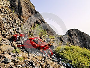 Car Wreckage photo