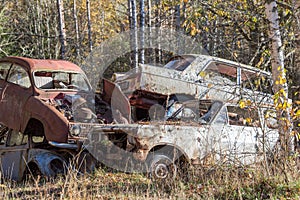 Car wrecks in the forest