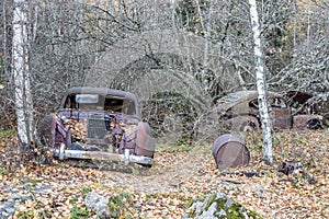 Car wrecks in the forest