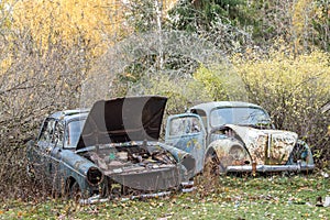 Car wrecks in the forest