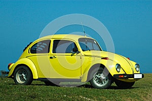 Car in yellow