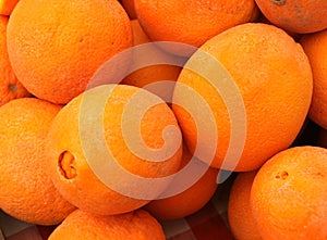 Cara Cara orange, Citrus sinensis 'Cara Cara' photo