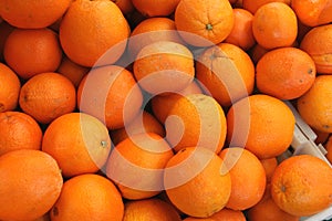 Cara Cara orange, Citrus sinensis 'Cara Cara' photo