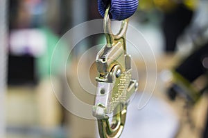 Carabiner for Climbing harness