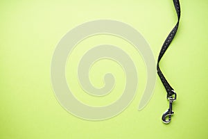 Carabiner with dog leash on green background. Space for text, flat lay