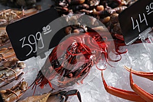 Carabinero shrimps and other seafood on ice. Wholesale market