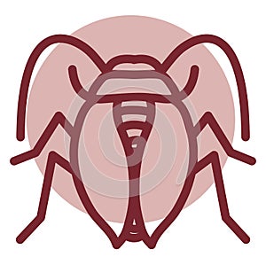 Carabus bug, icon