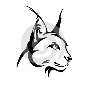 Caracal wild cat head black vector design photo