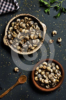 Caracolillos en caldo, spanish recipe of snails photo