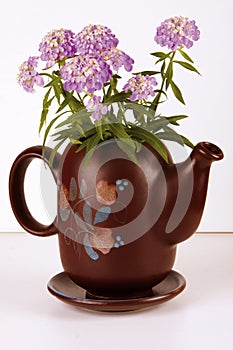Carafe with Flower