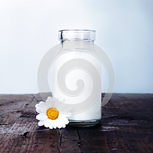 Carafe of milk and a daisy set for breakfast