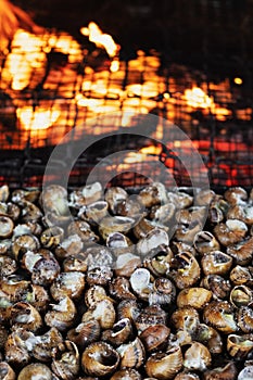 Caragols a la llauna, catalan recipe of snails