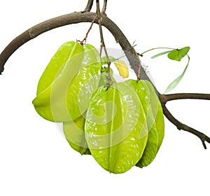 Carambola