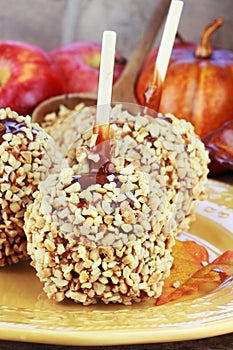 Caramel Apples