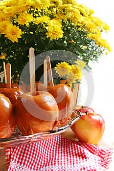 Mele un madre fiori eccellente declino O festa pasto autunno guarire 