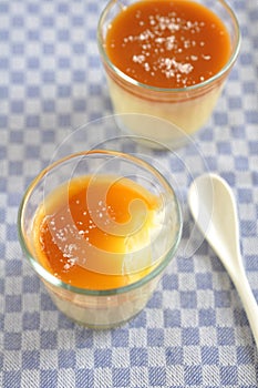 Caramel Pudding