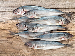 Carangidae fishes on the gray wooden board