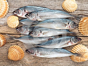 Carangidae fishes and seashells on the gray wooden board