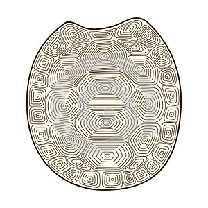 Carapace turtle Zen Tangle. Coloring book with shell tortoise.