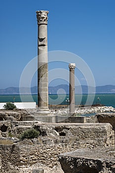 Caratagina in Tunisia