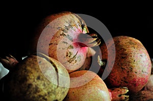 Caravaggio Caravaggio's pomegranate photo