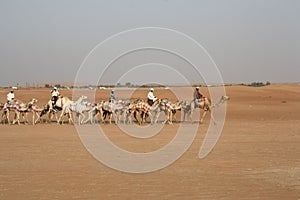 Caravan with bedouins and camels on sand dunes in desert at sunset